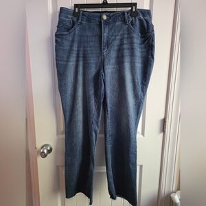 Wit and Wisdom Plus Size Jeans 18W